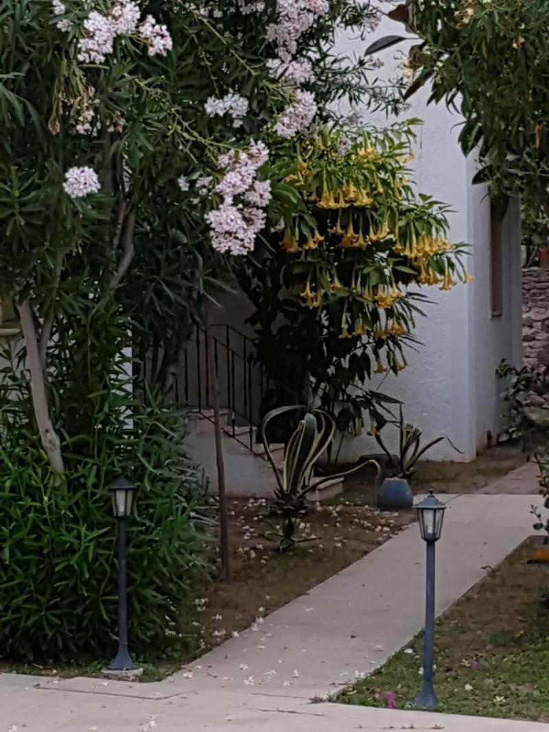 Hotel Princess Diltua Bodrum Eksteriør bilde