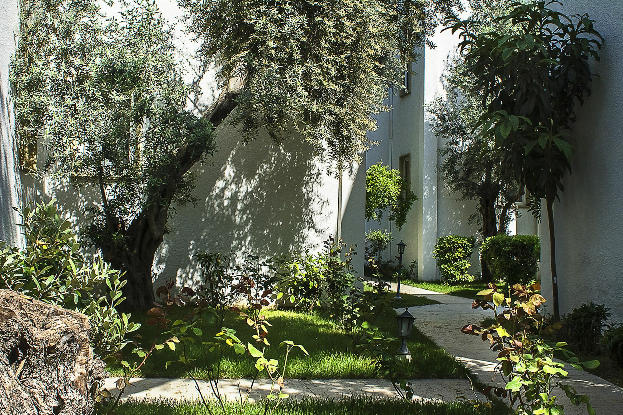 Hotel Princess Diltua Bodrum Eksteriør bilde