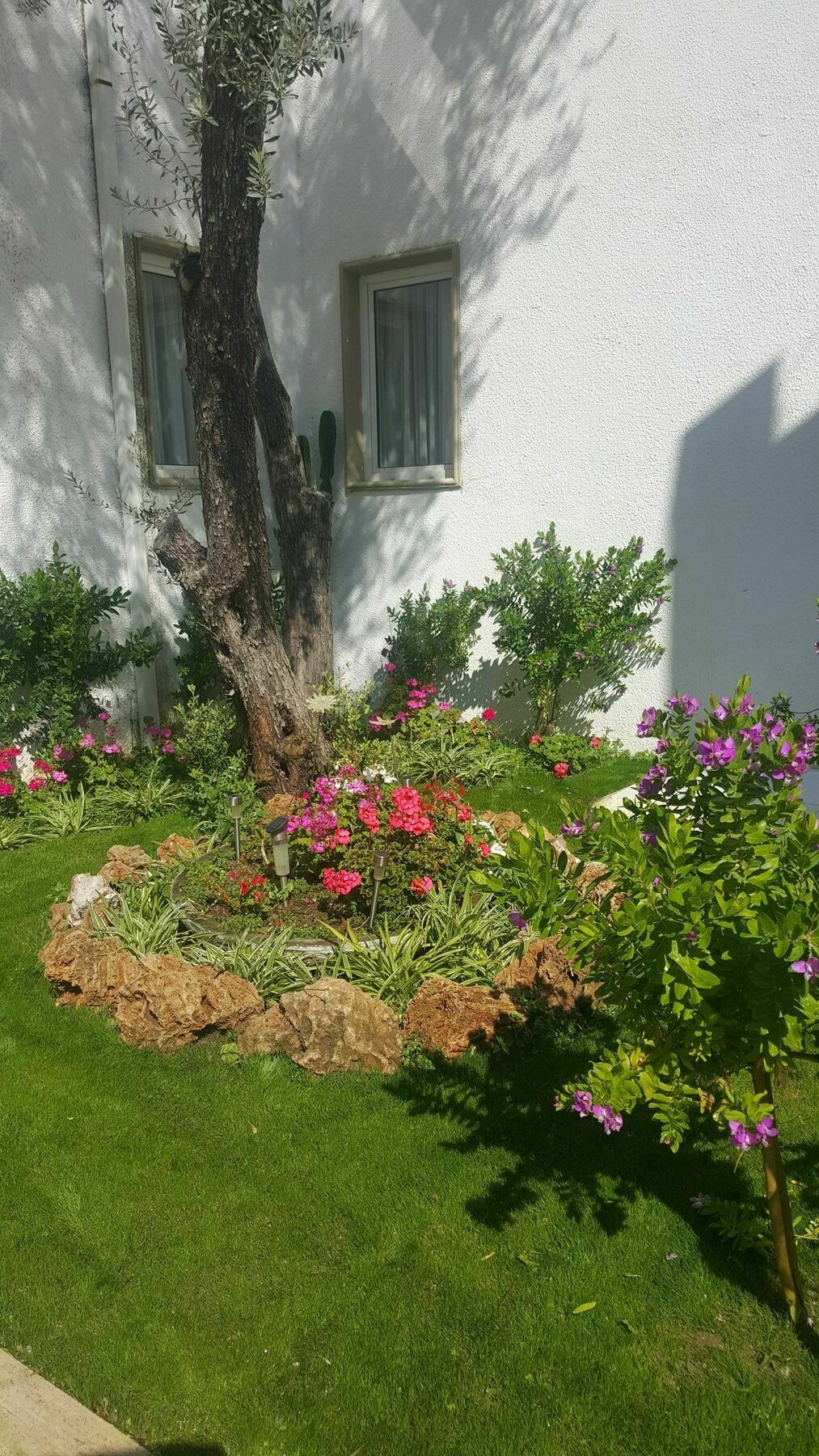 Hotel Princess Diltua Bodrum Eksteriør bilde